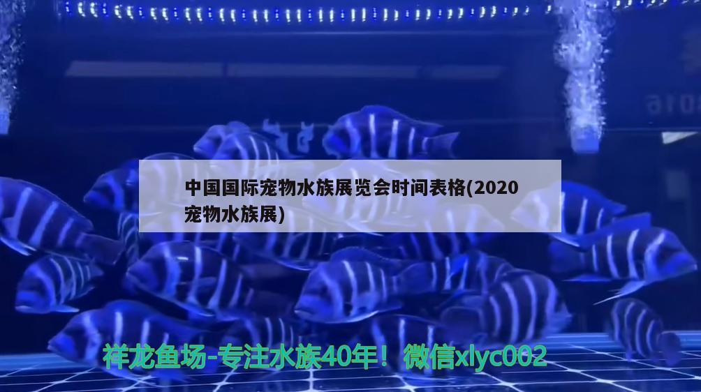 中国国际宠物水族展览会时间表格(2020宠物水族展) 水族展会