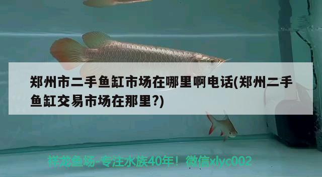 郑州市二手鱼缸市场在哪里啊电话(郑州二手鱼缸交易市场在那里?)