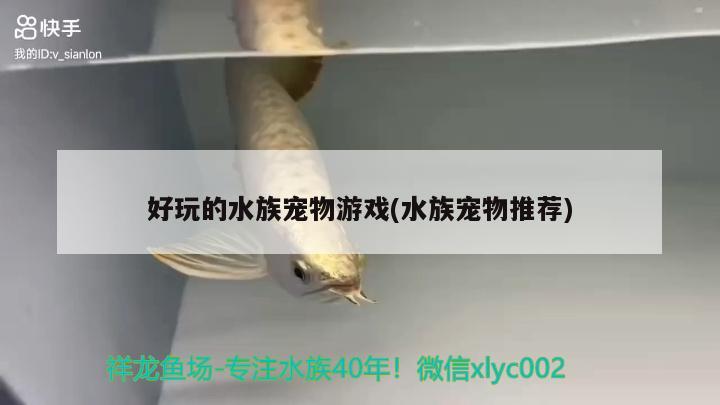 好玩的水族宠物游戏(水族宠物推荐)