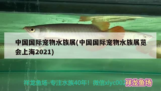 中国国际宠物水族展(中国国际宠物水族展览会上海2021) 水族展会