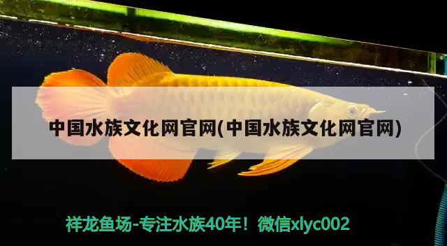 中国水族文化网官网(中国水族文化网官网)