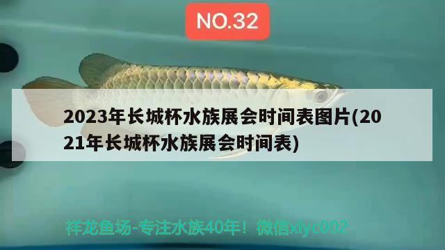 2023年长城杯水族展会时间表图片(2021年长城杯水族展会时间表)