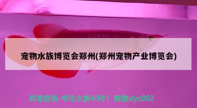 宠物水族博览会郑州(郑州宠物产业博览会) 2024第28届中国国际宠物水族展览会CIPS（长城宠物展2024 CIPS）