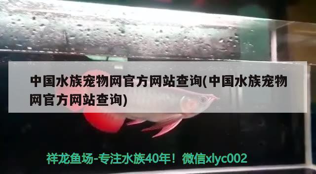 中国水族宠物网官方网站查询(中国水族宠物网官方网站查询)