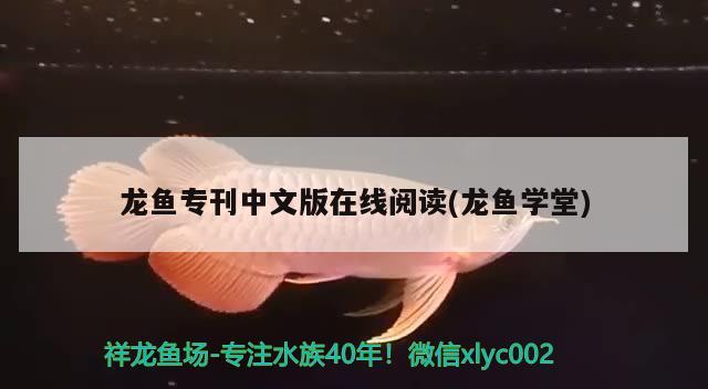 龙鱼专刊中文版在线阅读(龙鱼学堂) 2024第28届中国国际宠物水族展览会CIPS（长城宠物展2024 CIPS）