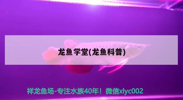 龙鱼学堂(龙鱼科普) 2024第28届中国国际宠物水族展览会CIPS（长城宠物展2024 CIPS）