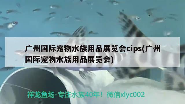 广州国际宠物水族用品展览会cips(广州国际宠物水族用品展览会) 水族用品