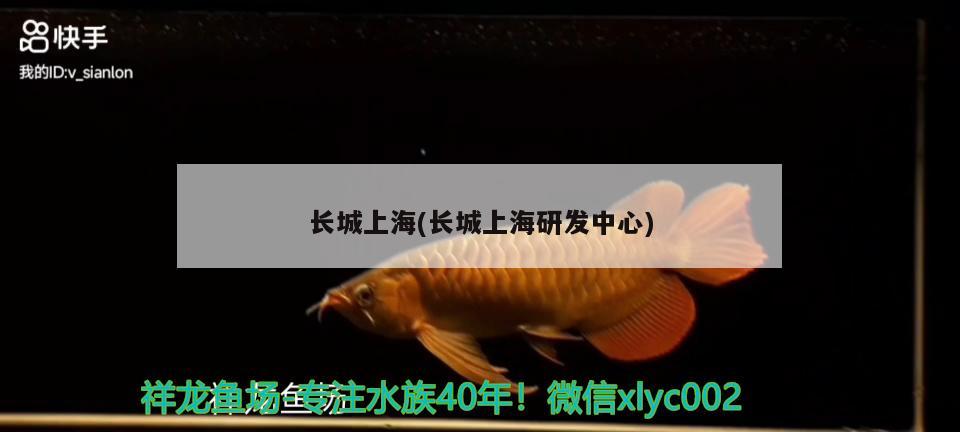 长城上海(长城上海研发中心) 2024第28届中国国际宠物水族展览会CIPS（长城宠物展2024 CIPS）