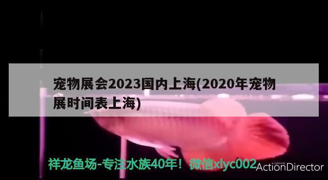 宠物展会2023国内上海(2020年宠物展时间表上海)