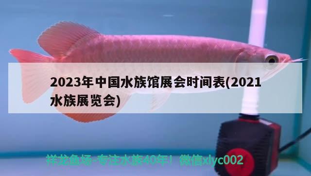 2023年中国水族馆展会时间表(2021水族展览会)