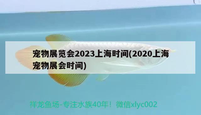 宠物展览会2023上海时间(2020上海宠物展会时间) 2024第28届中国国际宠物水族展览会CIPS（长城宠物展2024 CIPS）