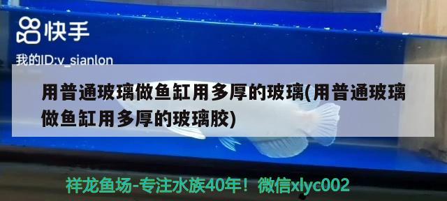 用普通玻璃做鱼缸用多厚的玻璃(用普通玻璃做鱼缸用多厚的玻璃胶)