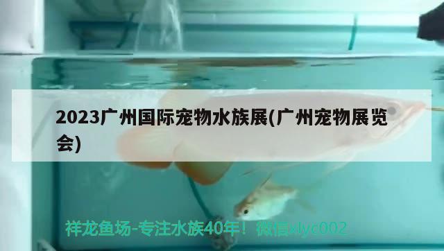 2023广州国际宠物水族展(广州宠物展览会)