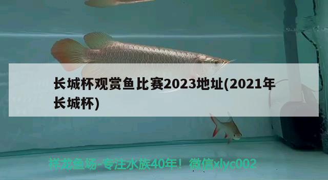 长城杯观赏鱼比赛2023地址(2021年长城杯)