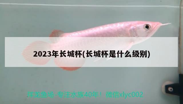 2023年长城杯(长城杯是什么级别) 2024第28届中国国际宠物水族展览会CIPS（长城宠物展2024 CIPS）