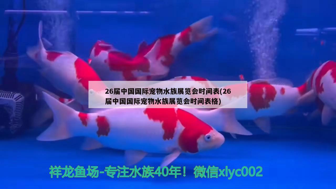 26届中国国际宠物水族展览会时间表(26届中国国际宠物水族展览会时间表格)