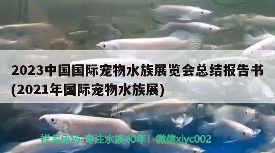 2023中国国际宠物水族展览会总结报告书(2021年国际宠物水族展)