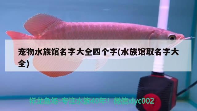 宠物水族馆名字大全四个字(水族馆取名字大全) 2024第28届中国国际宠物水族展览会CIPS（长城宠物展2024 CIPS）