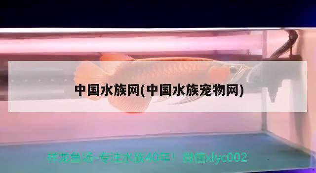 中国水族网(中国水族宠物网) 2024第28届中国国际宠物水族展览会CIPS（长城宠物展2024 CIPS）