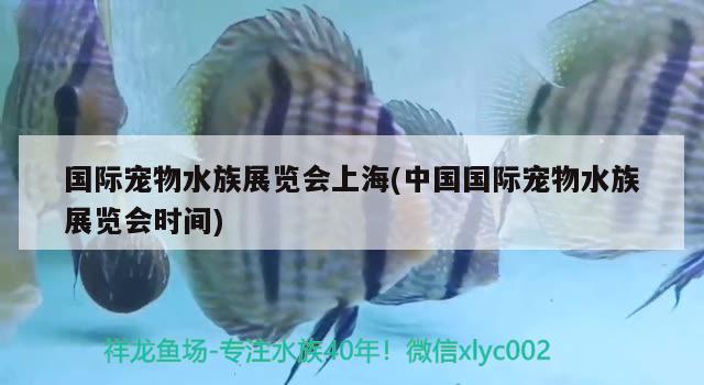 国际宠物水族展览会上海(中国国际宠物水族展览会时间) 水族展会