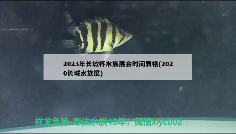 2023年长城杯水族展会时间表格(2020长城水族展)