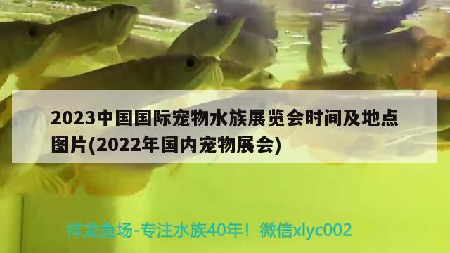 2023中国国际宠物水族展览会时间及地点图片(2022年国内宠物展会)