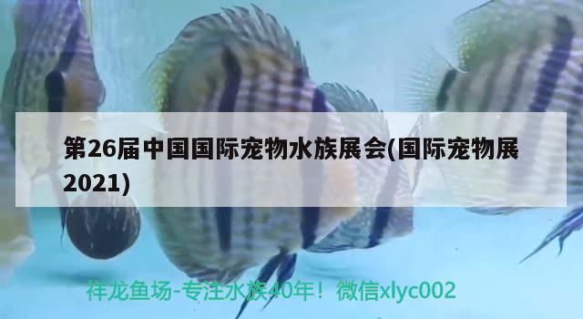 第26届中国国际宠物水族展会(国际宠物展2021)