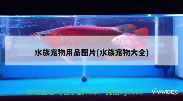 水族宠物用品图片(水族宠物大全)