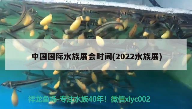 中国国际水族展会时间(2022水族展)