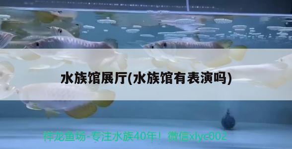 水族馆展厅(水族馆有表演吗) 2024第28届中国国际宠物水族展览会CIPS（长城宠物展2024 CIPS）