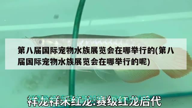 第八届国际宠物水族展览会在哪举行的(第八届国际宠物水族展览会在哪举行的呢) 水族展会