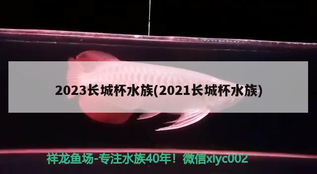 2023长城杯水族(2021长城杯水族)