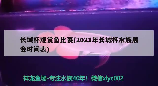 长城杯观赏鱼比赛(2021年长城杯水族展会时间表)