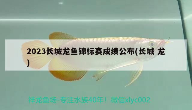 2023长城龙鱼锦标赛成绩公布(长城龙) 2024第28届中国国际宠物水族展览会CIPS（长城宠物展2024 CIPS）