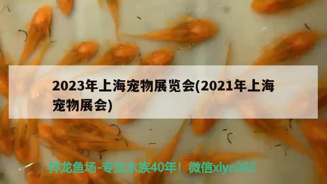 2023年上海宠物展览会(2021年上海宠物展会)