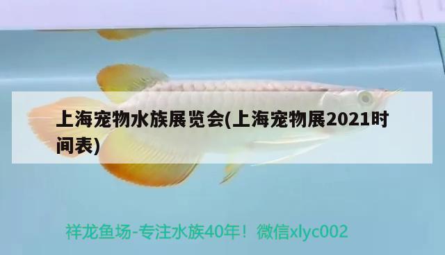 上海宠物水族展览会(上海宠物展2021时间表) 水族展会