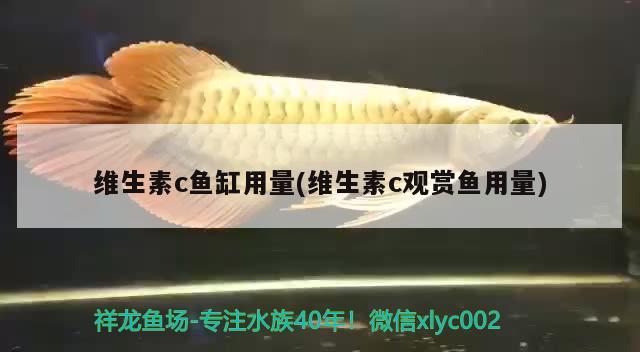 维生素c鱼缸用量(维生素c观赏鱼用量) 观赏鱼饲料 第3张