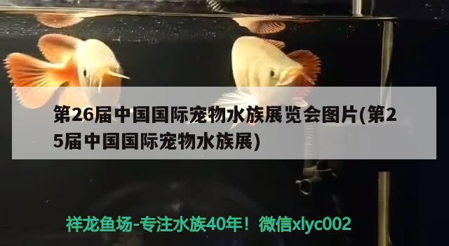 第26届中国国际宠物水族展览会图片(第25届中国国际宠物水族展) 水族展会