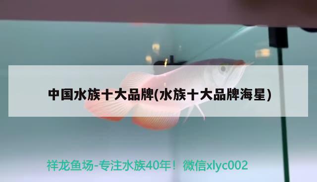 中国水族十大品牌(水族十大品牌海星) 2024第28届中国国际宠物水族展览会CIPS（长城宠物展2024 CIPS）