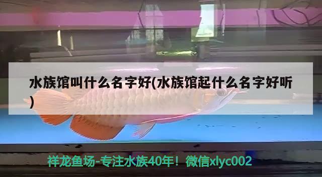 水族馆叫什么名字好(水族馆起什么名字好听)