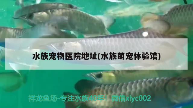 水族宠物医院地址(水族萌宠体验馆) 2024第28届中国国际宠物水族展览会CIPS（长城宠物展2024 CIPS）