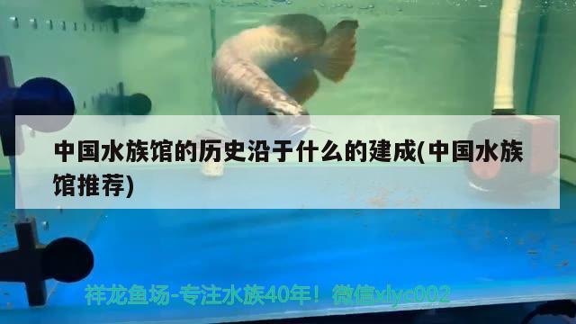 中国水族馆的历史沿于什么的建成(中国水族馆推荐) 2024第28届中国国际宠物水族展览会CIPS（长城宠物展2024 CIPS）