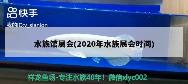 水族馆展会(2020年水族展会时间) 水族展会 第2张