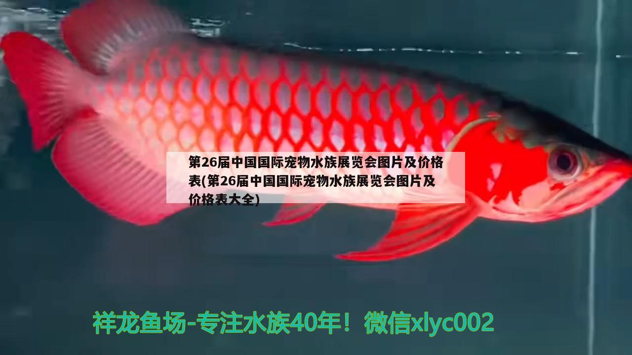 第26届中国国际宠物水族展览会图片及价格表(第26届中国国际宠物水族展览会图片及价格表大全)