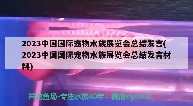 2023中国国际宠物水族展览会总结发言(2023中国国际宠物水族展览会总结发言材料)