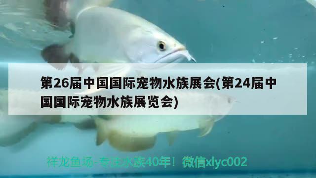 第26届中国国际宠物水族展会(第24届中国国际宠物水族展览会)