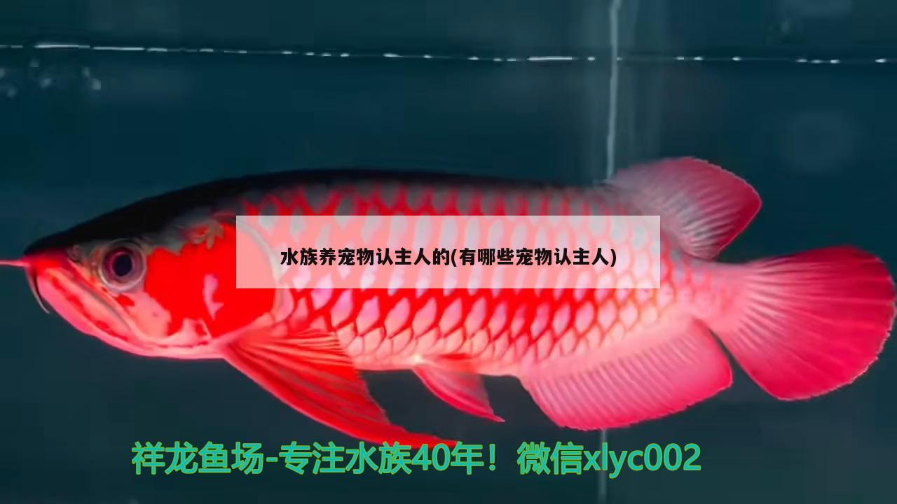 水族养宠物认主人的(有哪些宠物认主人) 2024第28届中国国际宠物水族展览会CIPS（长城宠物展2024 CIPS）