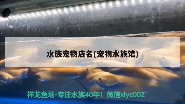 水族宠物店名(宠物水族馆) 2024第28届中国国际宠物水族展览会CIPS（长城宠物展2024 CIPS）