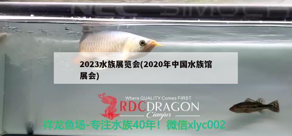 2023水族展览会(2020年中国水族馆展会)