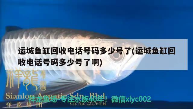 运城鱼缸回收电话号码多少号了(运城鱼缸回收电话号码多少号了啊) 祥龙金禾金龙鱼